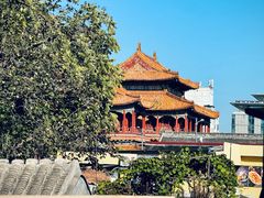 -Sirena海妖日咖夜酒