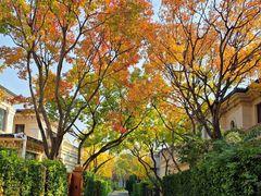 -龙湖星悦荟(颐和店)