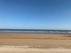 -日照海滨国家森林公园