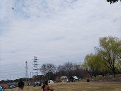 -漕湖湿地公园