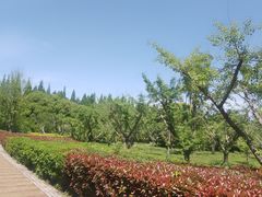 -同里国家湿地公园