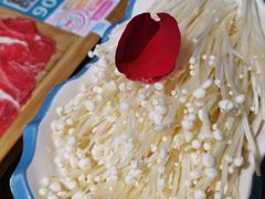 -青瓷火锅料理(西单大悦城店)