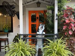 -TrueLove @ Neverland (Husky Cafe)