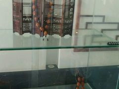 android_upload_pic-苏州吴中太湖旅游区