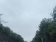 -安飞驰驾校·学车连锁(金高店)