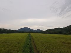 -艾米稻香小镇