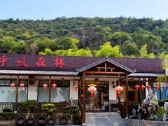 -呼吸森林·生态农庄农家乐私房菜