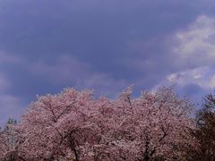 -东湖磨山景区