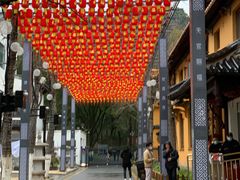 -亭林园-华藏寺