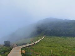 -白草畔自然风景区