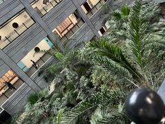 -黑龙江中医药大学附属第一医院