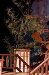 -明典婚礼策划·婚车租赁·婚纱摄影