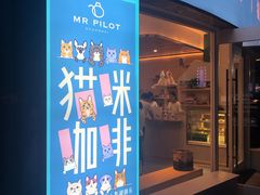 门面-飞行喵MR PILOT|猫舍·猫咖(静安大融城店)