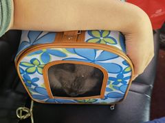 -纳吉亚猫专科动物医院博雅分院