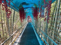 -石燕湖生态旅游景区