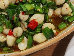 -熊猫家新派川菜(百里一·龙兴集店)