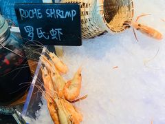 -Social 秀西餐厅-长沙瑞吉酒店(运达店)