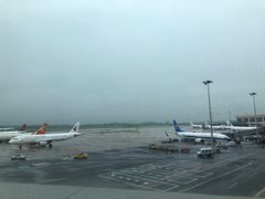 -麦当劳(太平国际机场店)