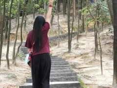-火炉山森林公园