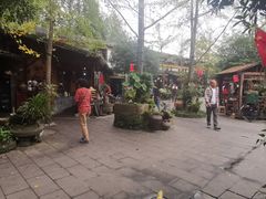 -青城甲(青城山店)