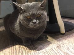 -小时光咖啡馆(开森度假森林店)