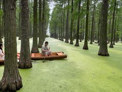 -渌洋湖湿地公园