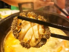 鲍鱼-鲜入围煮花胶鸡海鲜火锅