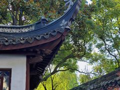 -上海醉白池公园