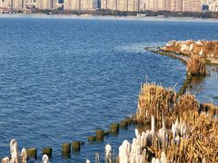 -长广溪湿地公园