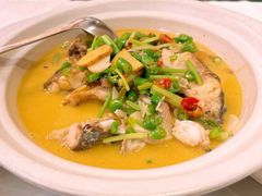 -饭怕鱼·黄焖鲟龙鱼(湖大店)