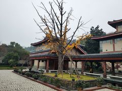 -浙江省博物馆(孤山馆区)