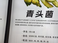 -祥云美食城(南强步行街店)
