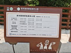 -西双版纳原始森林公园