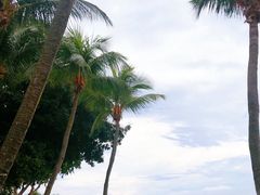 -圣淘沙名胜世界
