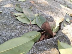 -游子山休闲旅游区