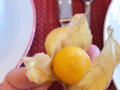 -咖啡苑 - 蔚藍夏日限定主题(永利皇宫店)