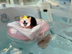 -馨月汇·独栋月子会所(静安店)