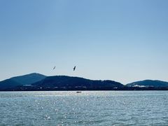 -无锡蠡湖国家湿地公园-蠡园