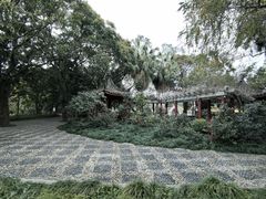 -西湖公园(鼓楼区)