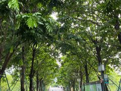 -顺峰山公园