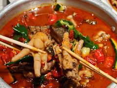 -杨氏青龙虾·羊蝎子(托乐嘉店)