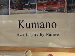 -纪州豚骨酱油拉面(锦延路店)