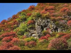 -青州仰天山