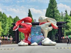 -黄海国家森林公园