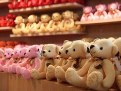 -济州岛泰迪熊博物馆