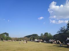 -大屏嶂森林公园