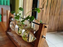 -植觉