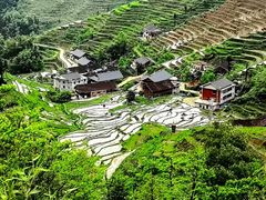 -紫鹊界梯田景区