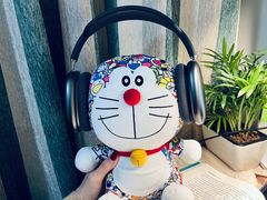 -Apple零售店(成都太古里店)