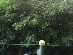 -常州古运河南大街文化旅游区-人民公园